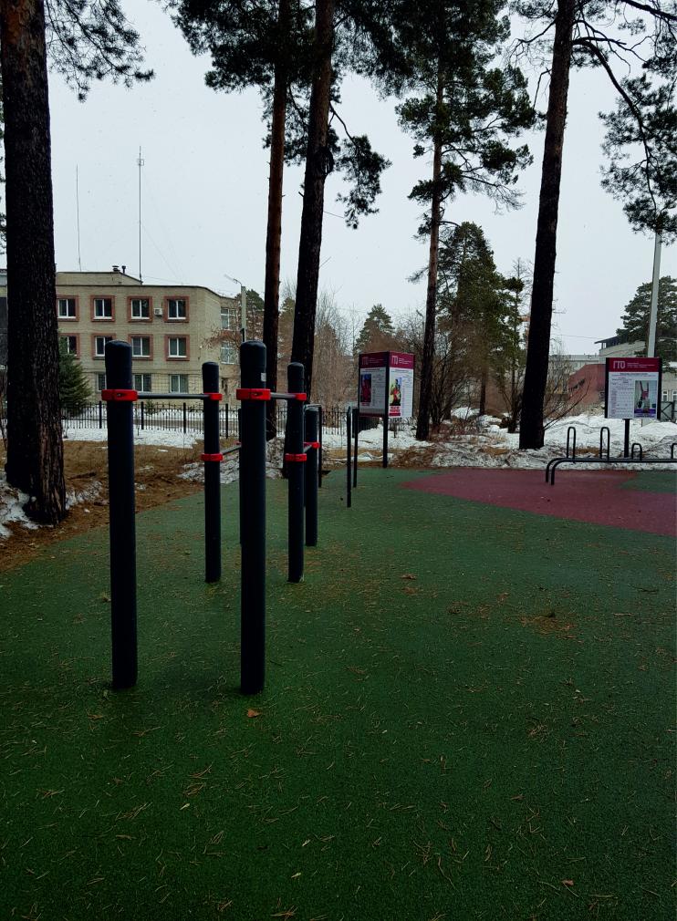 Monkey Bars at Calisthenics Park at улица Чайковского, Ангарск – photo 5 of 11