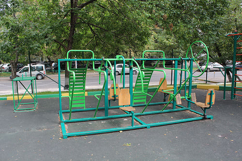 Wall Bars at Calisthenics Park at Пантелеевская улица, Москва – photo 5 of 5