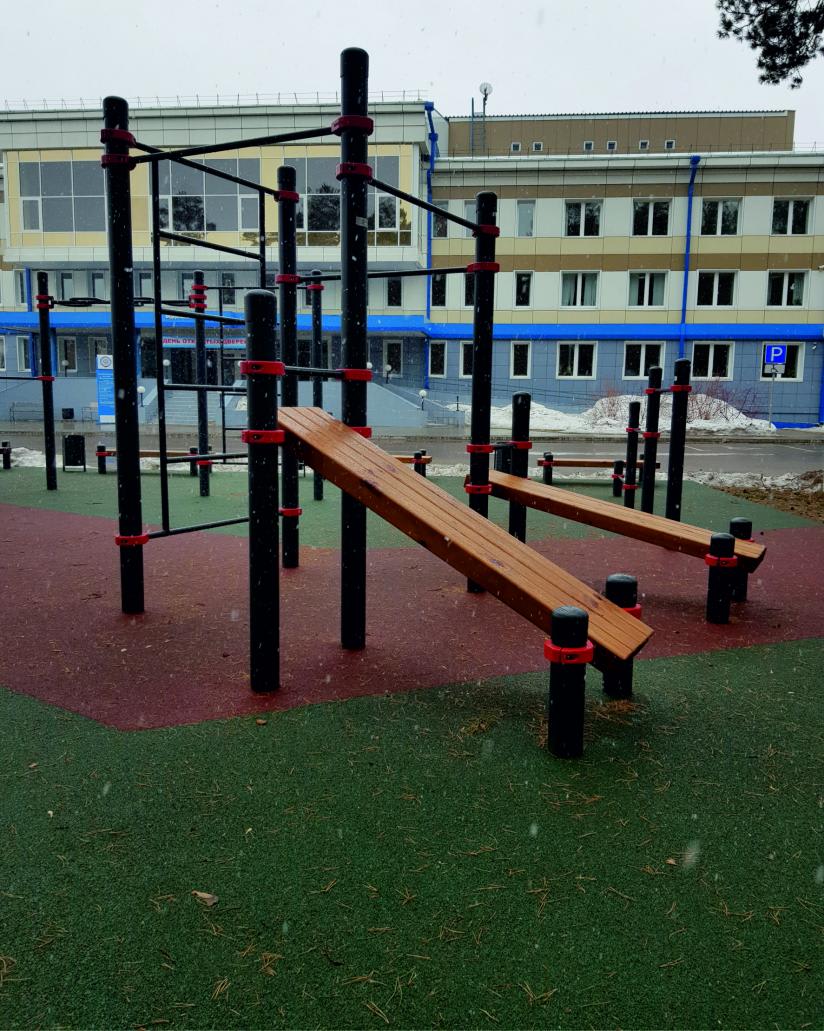 Ground Parallel Bars at Calisthenics Park at улица Чайковского, Ангарск – photo 4 of 11