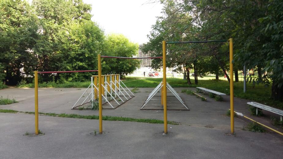Parallel Gym Bars at Calisthenics Park at 3-я Песчаная улица, Москва – photo 6 of 7