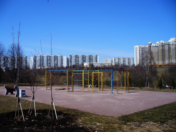 Parallel Gym Bars at Calisthenics Park at Народный мост, Москва – photo 1 of 5