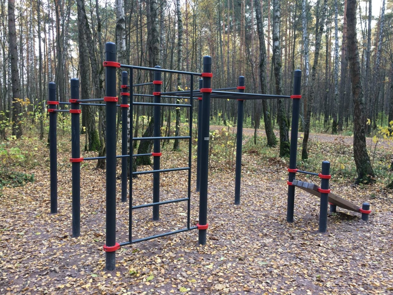 Abs Bench at Calisthenics Park at Новомещёрский проезд, Москва – photo 1 of 1
