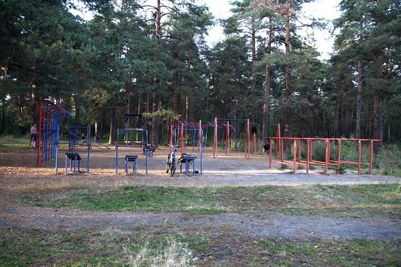 Parallel Gym Bars at Calisthenics Park at Лесопарковая улица, Челябинск #wp1723 – photo 1 of 5