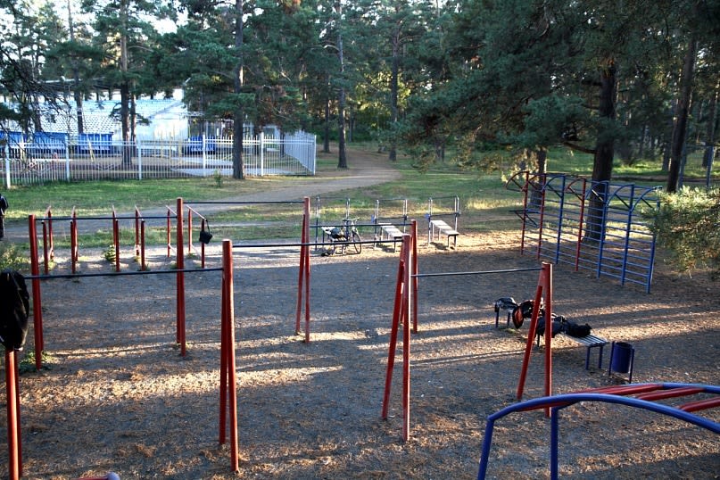 Wall Bars at Calisthenics Park at Лесопарковая улица, Челябинск #wp1723 – photo 2 of 5