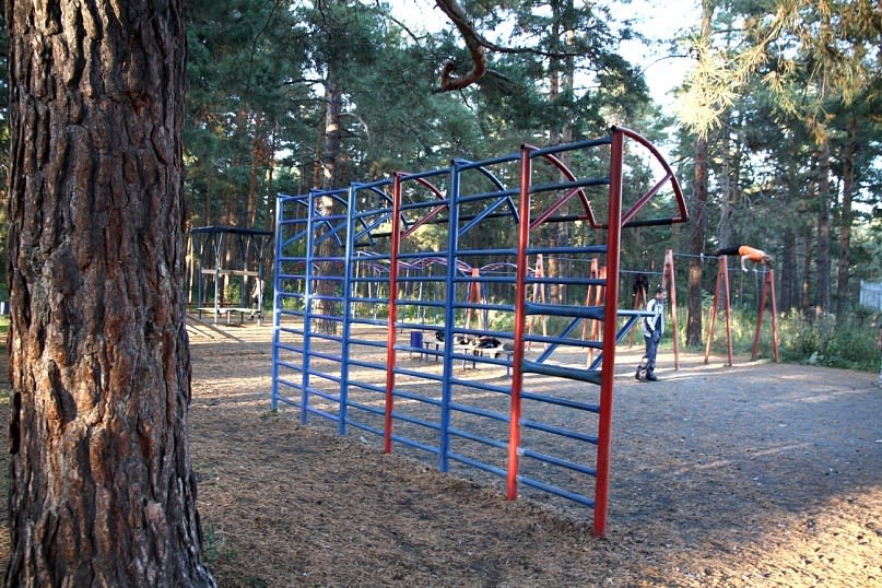 Monkey Bars at Calisthenics Park at Лесопарковая улица, Челябинск #wp1723 – photo 3 of 5