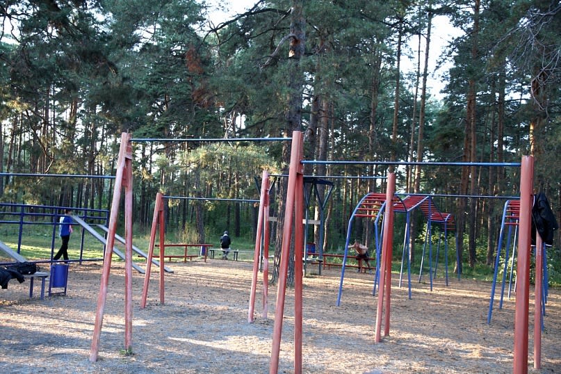 Pull Up Bar at Calisthenics Park at Лесопарковая улица, Челябинск #wp1723 – photo 4 of 5