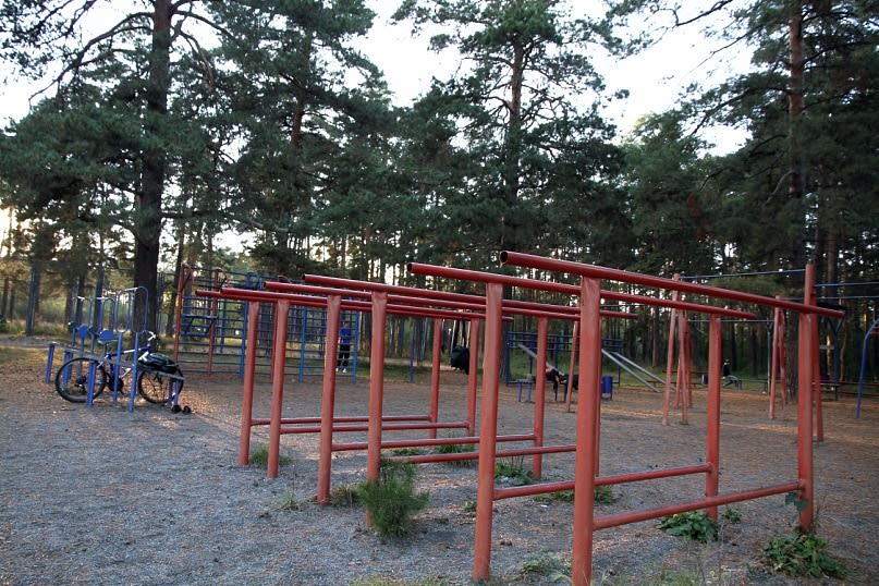 Abs Bench at Calisthenics Park at Лесопарковая улица, Челябинск #wp1723 – photo 5 of 5