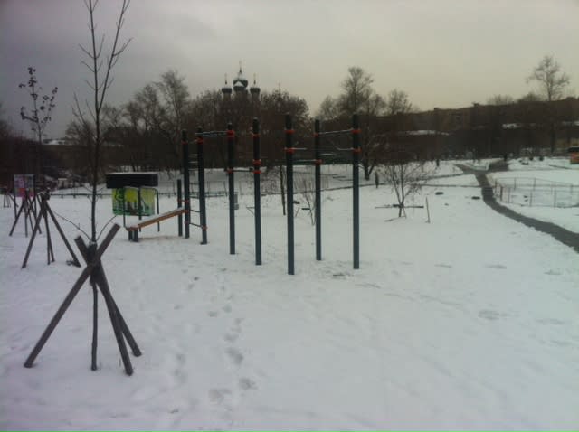 Parallel Gym Bars at Calisthenics Park at проспект Мира (дублёр), Москва – photo 1 of 1