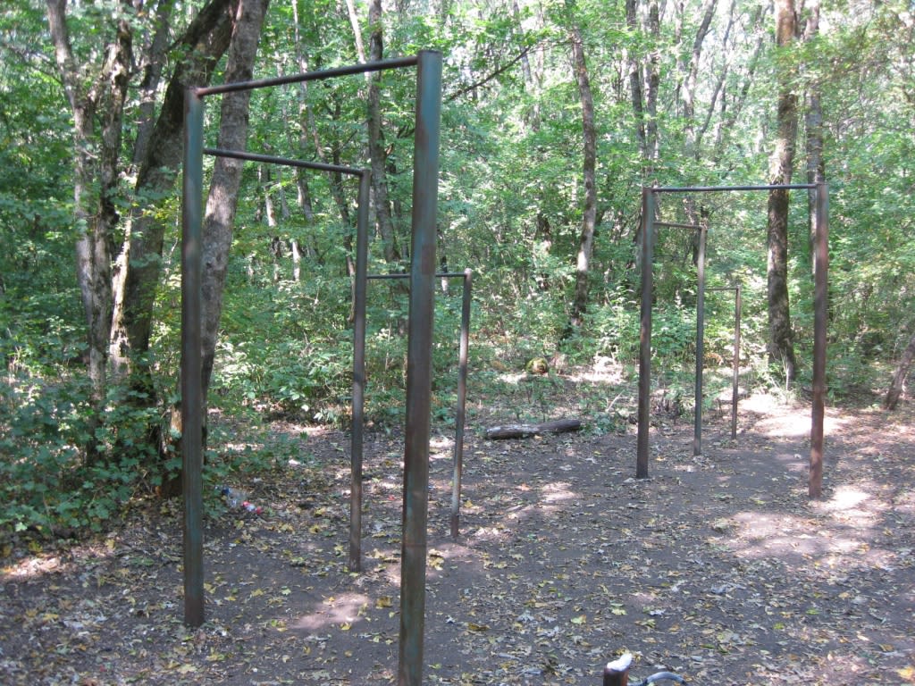 Barren bei Calisthenics Park at улица Васильева, Ставрополь – Foto 2 von 6