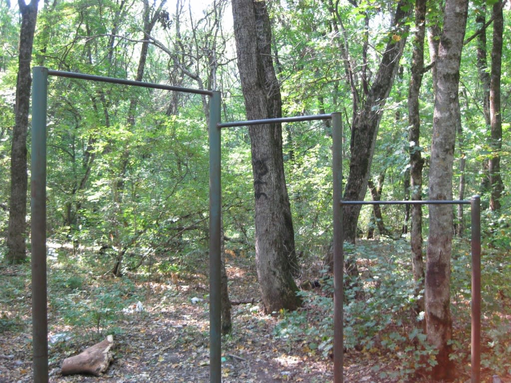 Klimmzugstange bei Calisthenics Park at улица Васильева, Ставрополь – Foto 1 von 6