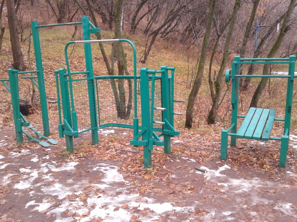 Рукоход на площадке Calisthenics Park at Живописная улица, Москва – фото 3 из 6