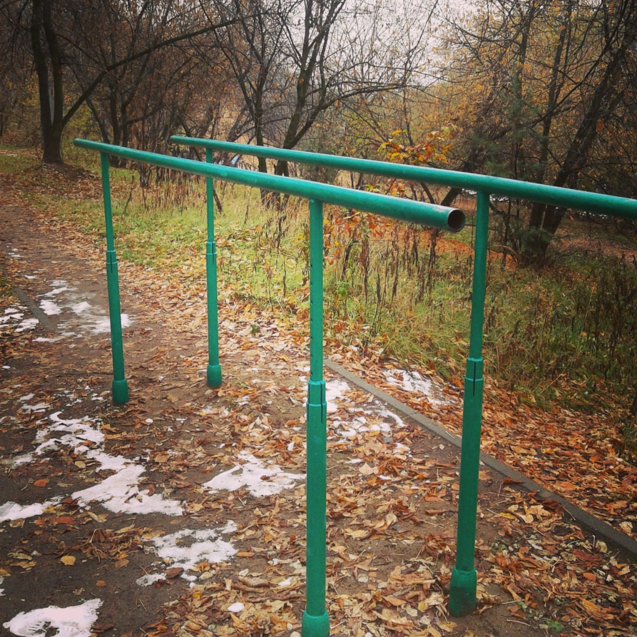 Жим лёжа на горизонтальной скамье на площадке Calisthenics Park at Живописная улица, Москва – фото 5 из 6