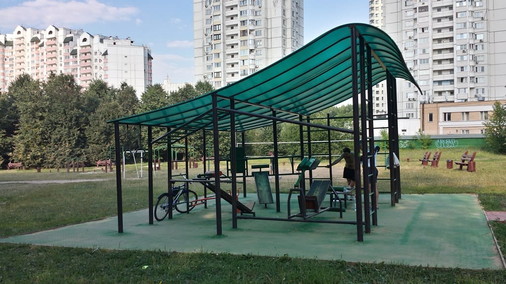 Parallel Gym Bars at Calisthenics Park at улица Академика Анохина, Москва #wp1740 – photo 1 of 3