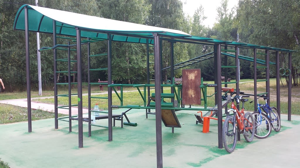 Monkey Bars at Calisthenics Park at улица Академика Анохина, Москва #wp1740 – photo 3 of 3