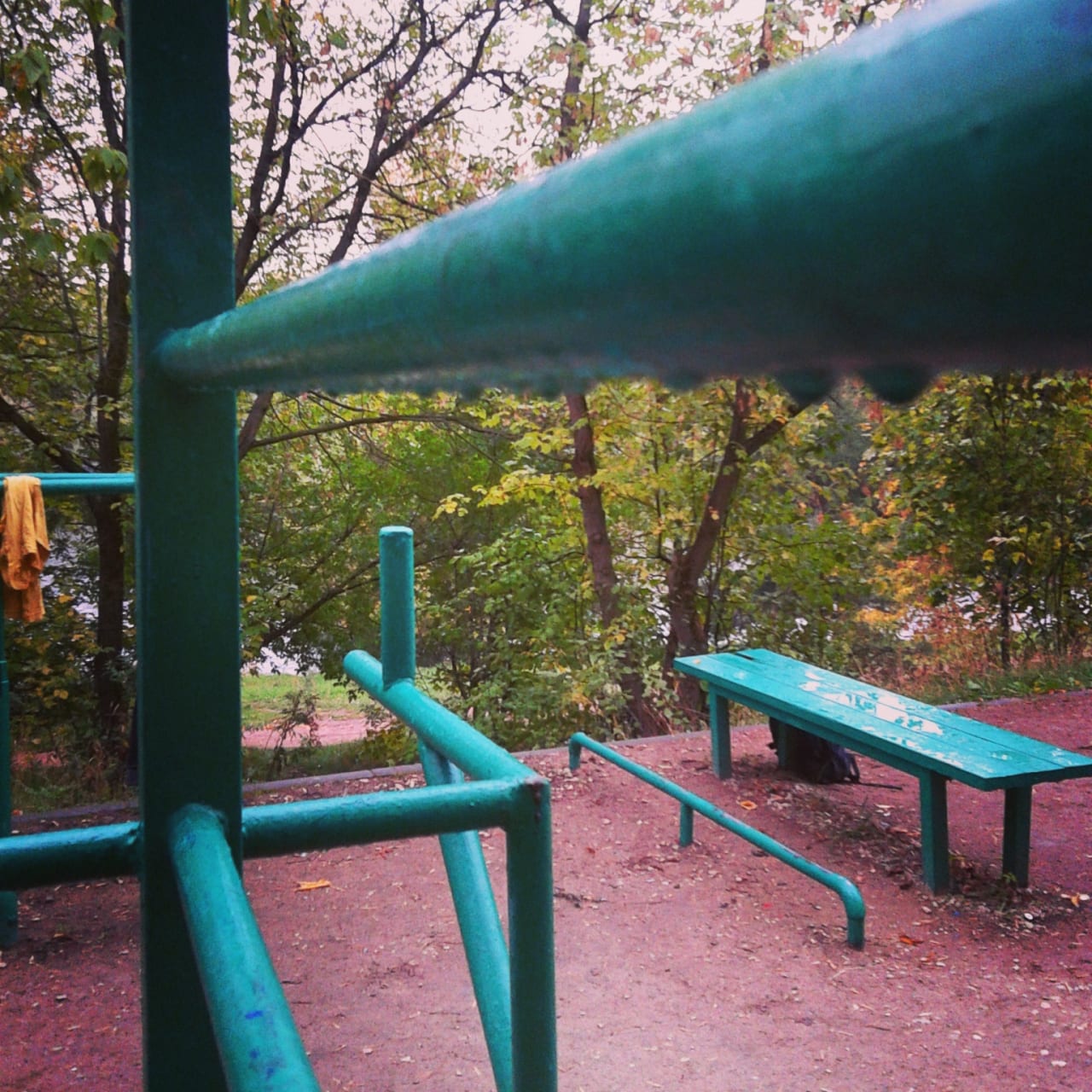Брусья на площадке Calisthenics Park at Живописная улица, Москва – фото 1 из 6