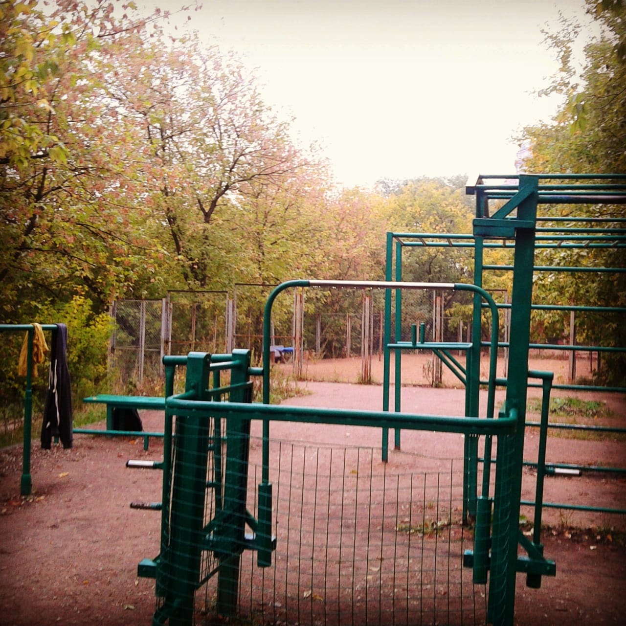 Шведская стенка на площадке Calisthenics Park at Живописная улица, Москва – фото 2 из 6