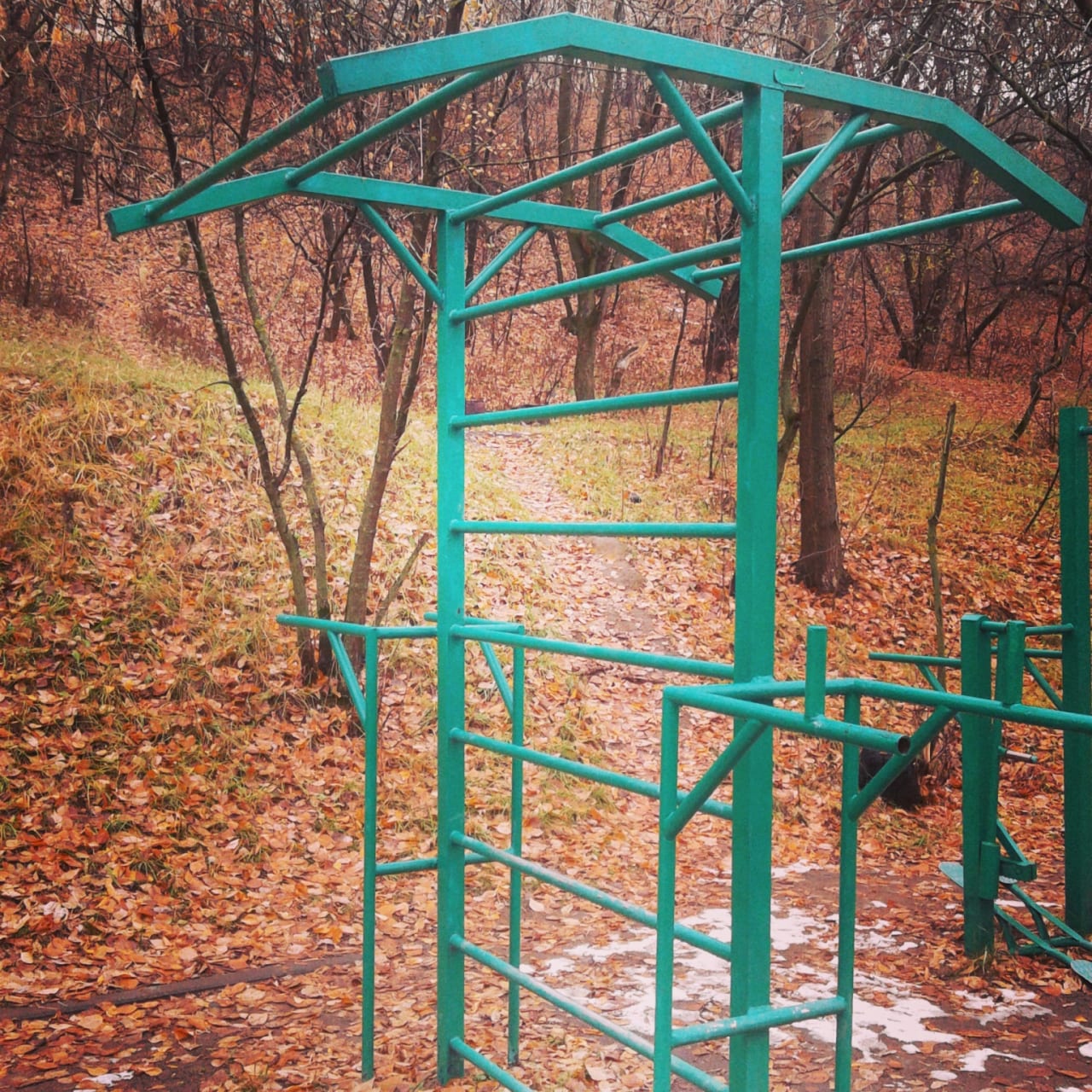 Брусья на площадке Calisthenics Park at Живописная улица, Москва – фото 6 из 6