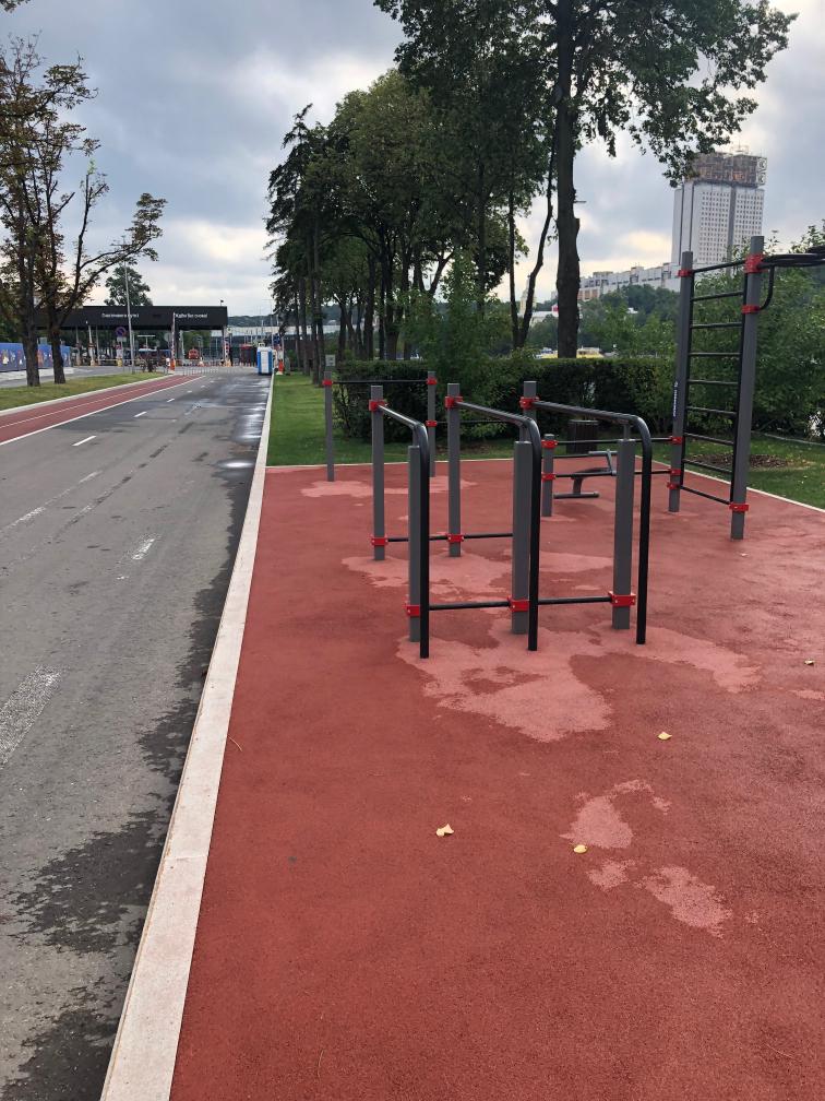 Брусья на площадке Calisthenics Park at Лужнецкая набережная, Москва – фото 5 из 7