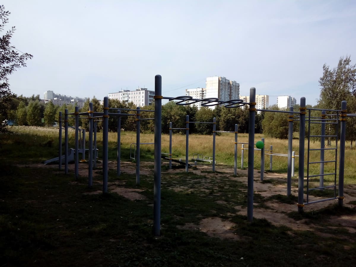 Брусья на площадке Calisthenics Park at Битцевская аллея, Москва – фото 1 из 2