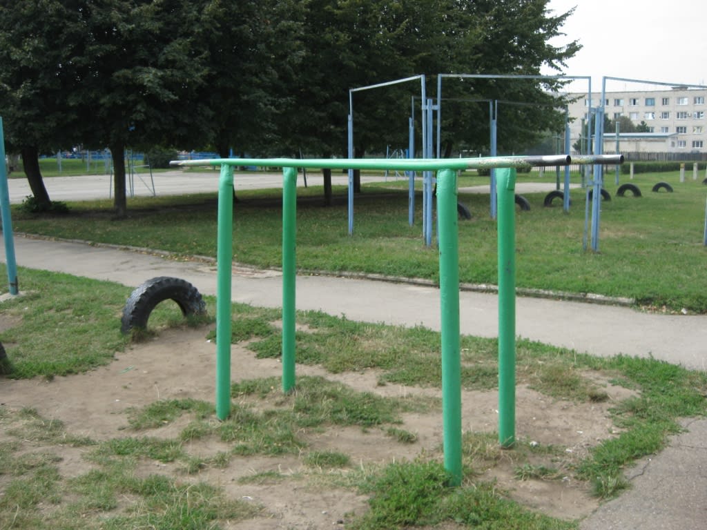 Sbarra per trazioni presso Calisthenics Park at улица Бруснева, Ставрополь #wp1775 – foto 7 di 8