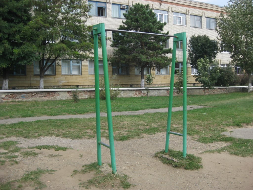 Monkey bar presso Calisthenics Park at улица Бруснева, Ставрополь #wp1775 – foto 6 di 8