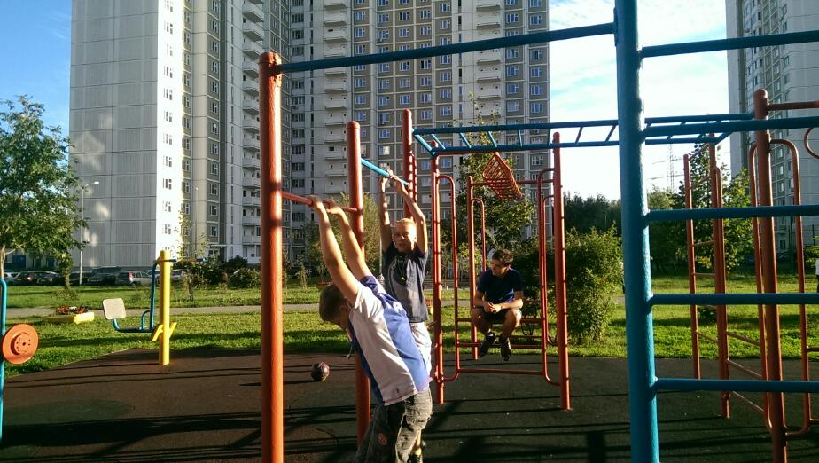 Monkey Bars at Calisthenics Park at проектируемый проезд № 6263, Москва – photo 3 of 3