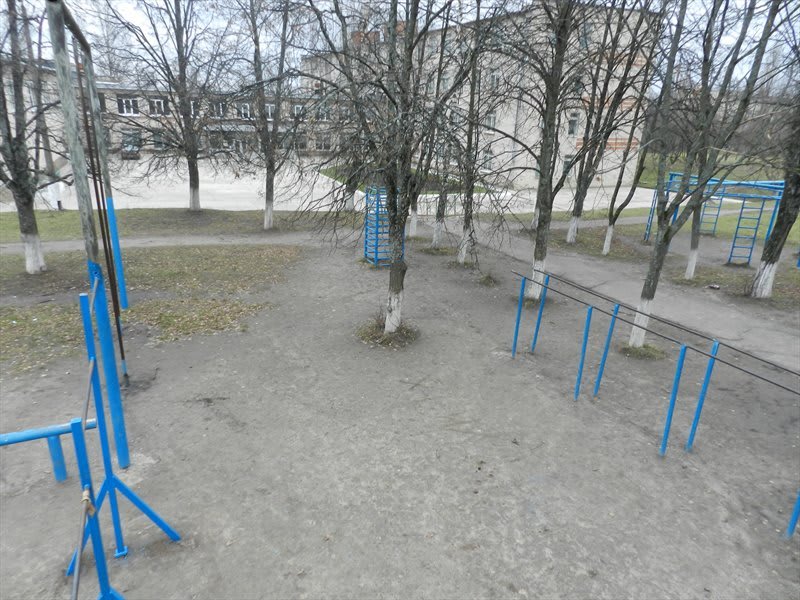 Sprossenwand bei Calisthenics Park at Курская улица, Железногорск – Foto 4 von 5
