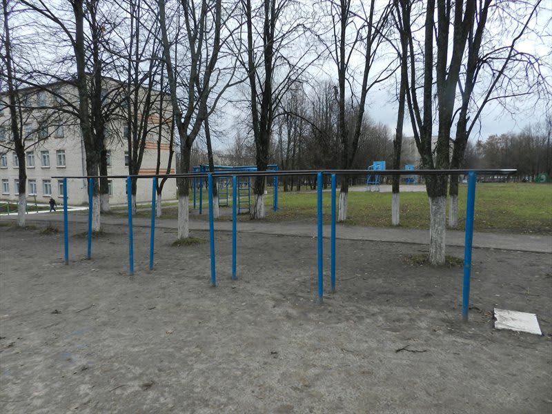 Barren bei Calisthenics Park at Курская улица, Железногорск – Foto 5 von 5