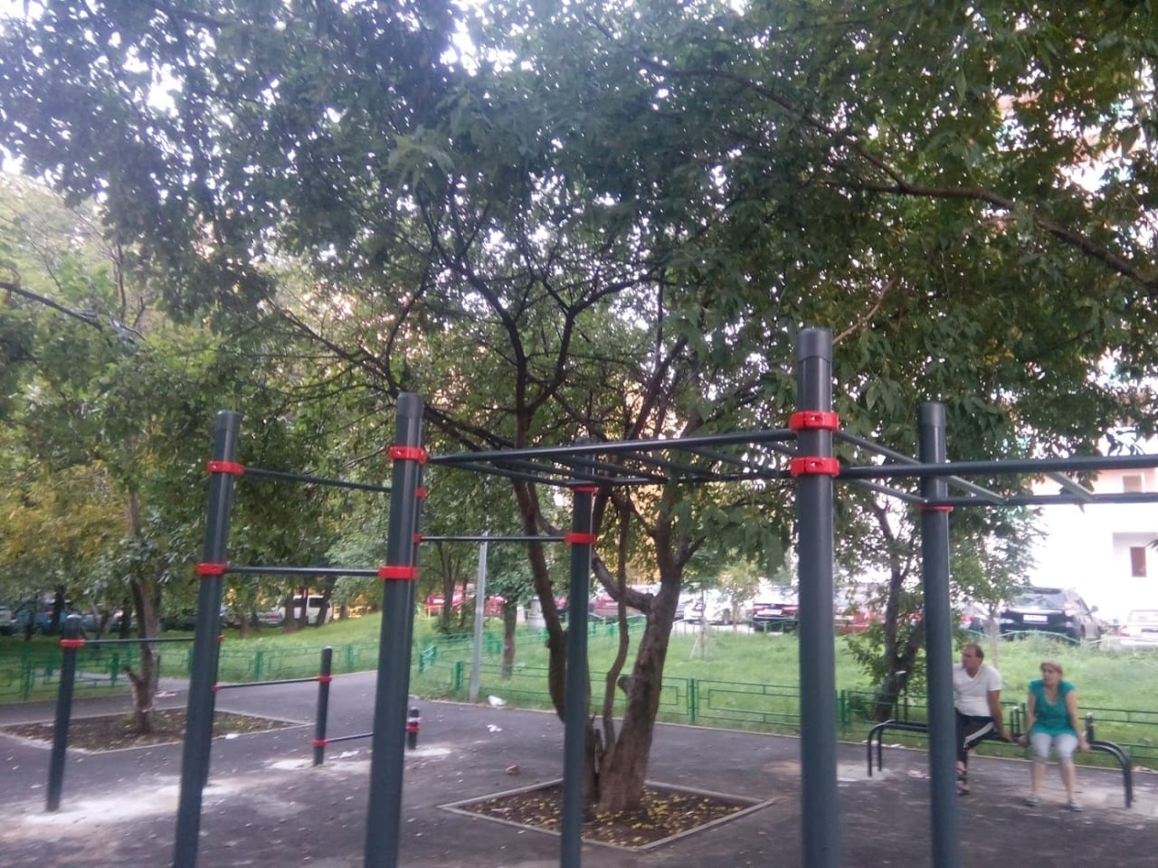 Monkey Bars at Calisthenics Park at Большая Академическая улица, Москва #wp1794 – photo 2 of 7