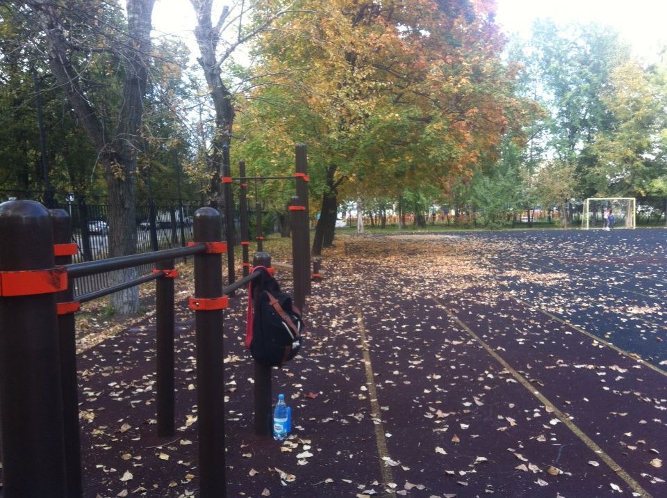 Турник на площадке Calisthenics Park at 11-я Парковая улица, Москва – фото 1 из 3