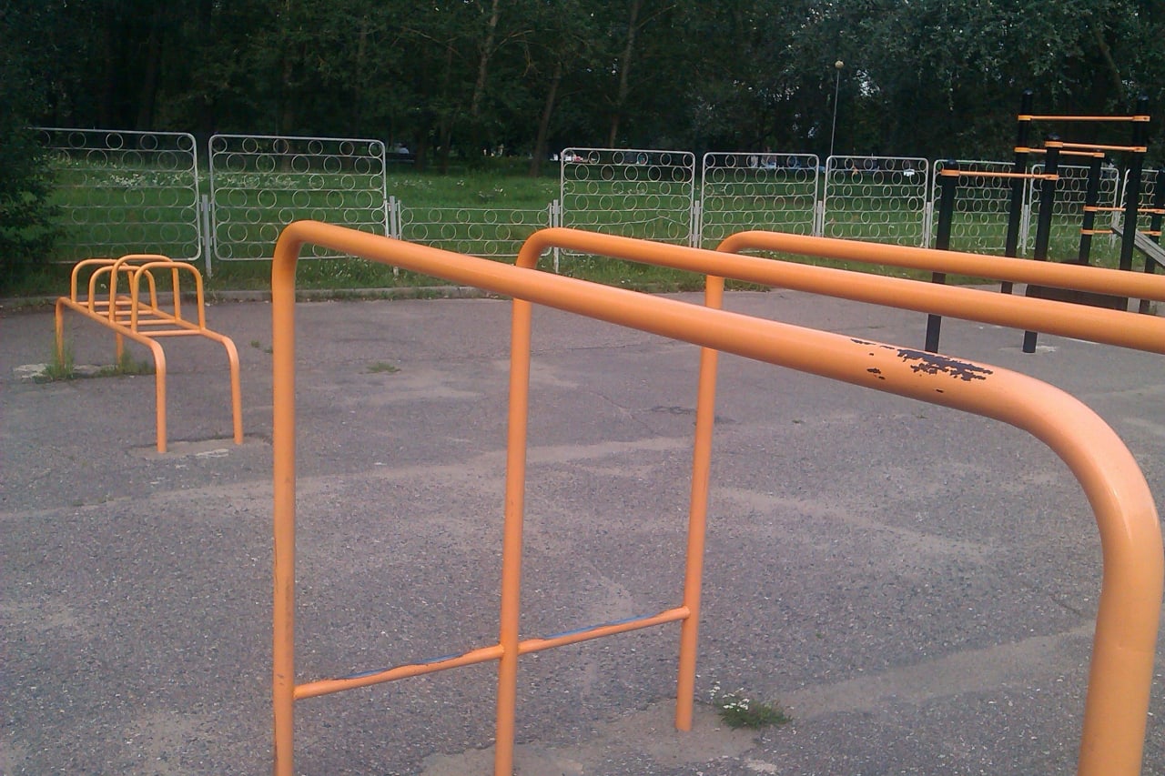 Wall Bars at Calisthenics Park at Workout zone, Мінск – photo 4 of 5
