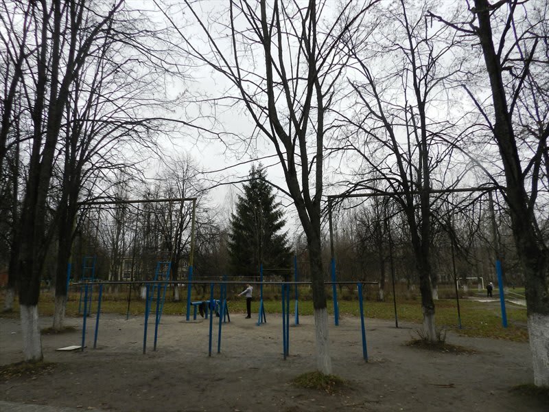Hangelstange bei Calisthenics Park at Курская улица, Железногорск – Foto 2 von 5