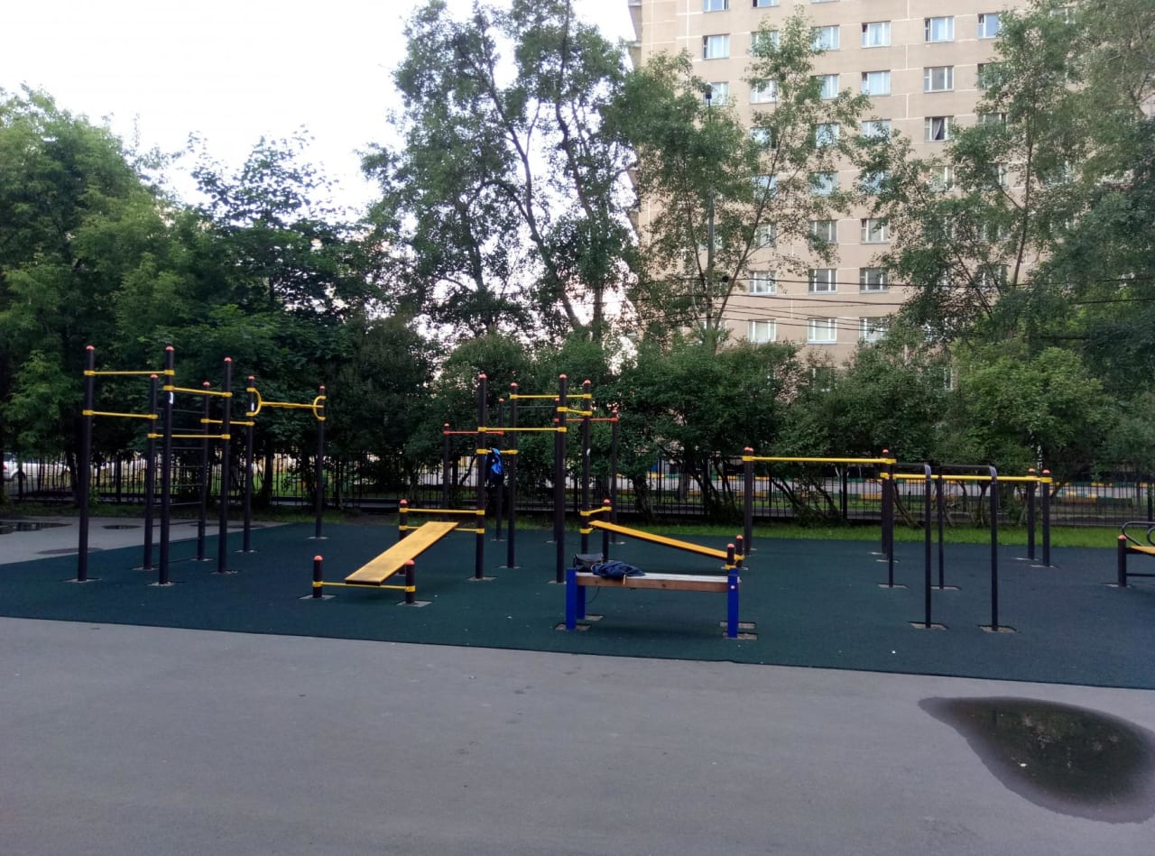 Pull Up Bar at Calisthenics Park at Дмитровское шоссе, Москва – photo 1 of 1