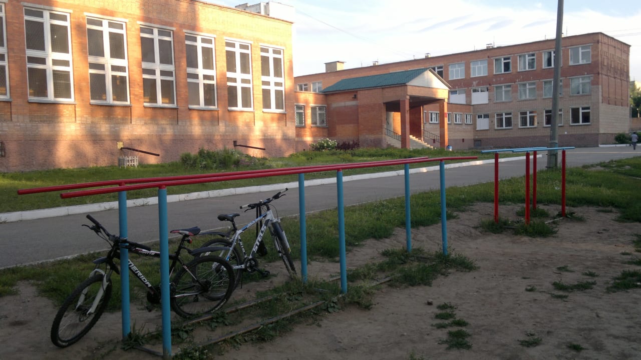Sprossenwand bei Calisthenics Park at улица Новосёлов, городской округ Рязань – Foto 5 von 8
