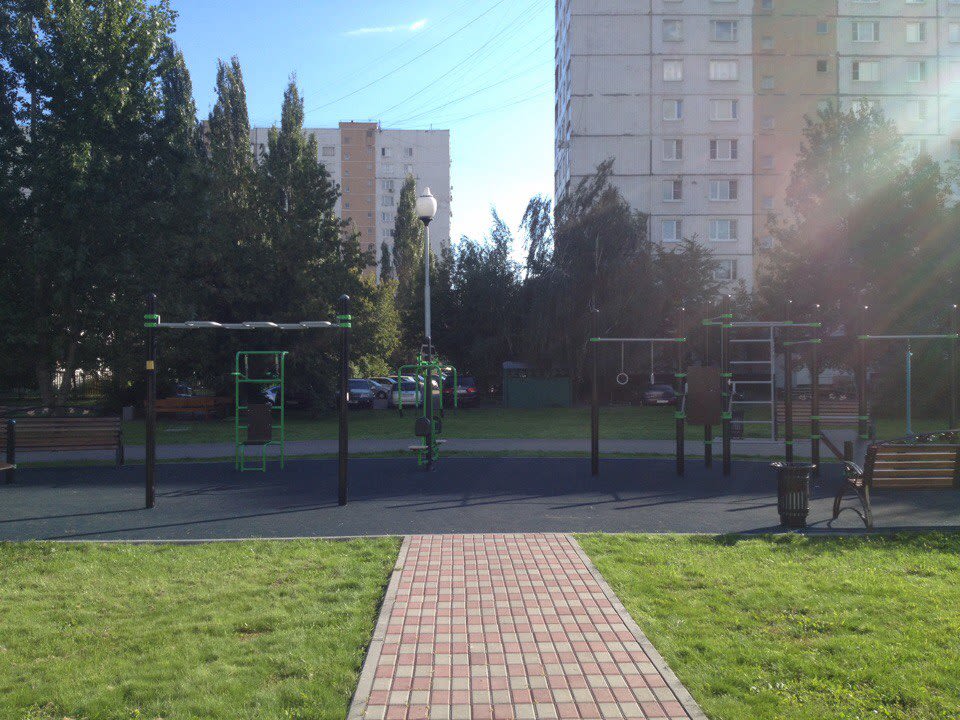 Шведська стінка на майданчику Calisthenics Park at Шайдаровская улица, Москва – фото 2 з 2