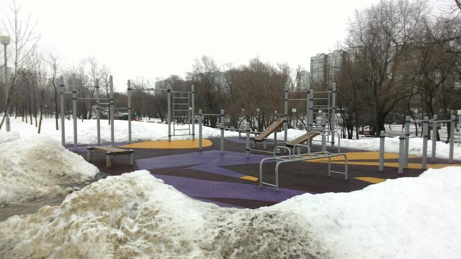 Parallel Gym Bars at Calisthenics Park at Братеевский проезд, Москва #wp1795 – photo 1 of 1