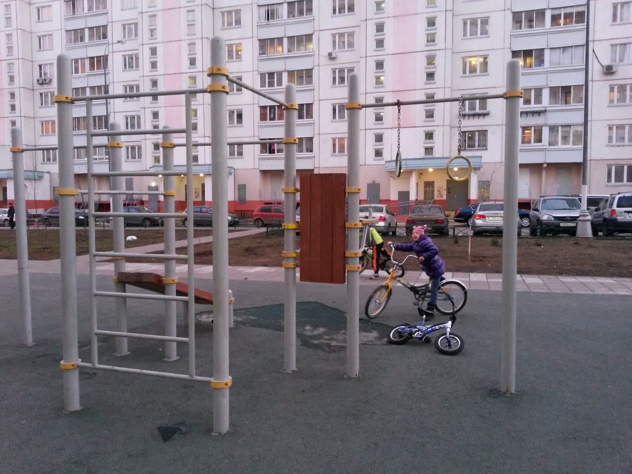 Parallel Gym Bars at Calisthenics Park at 1-я Северодонецкая улица, Москва – photo 1 of 4