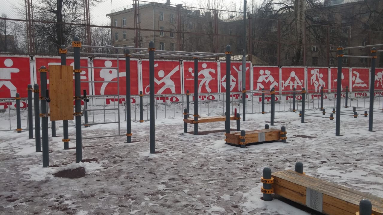 Monkey Bars at Calisthenics Park at Спортивный комплекс «Родина», Химки – photo 3 of 8
