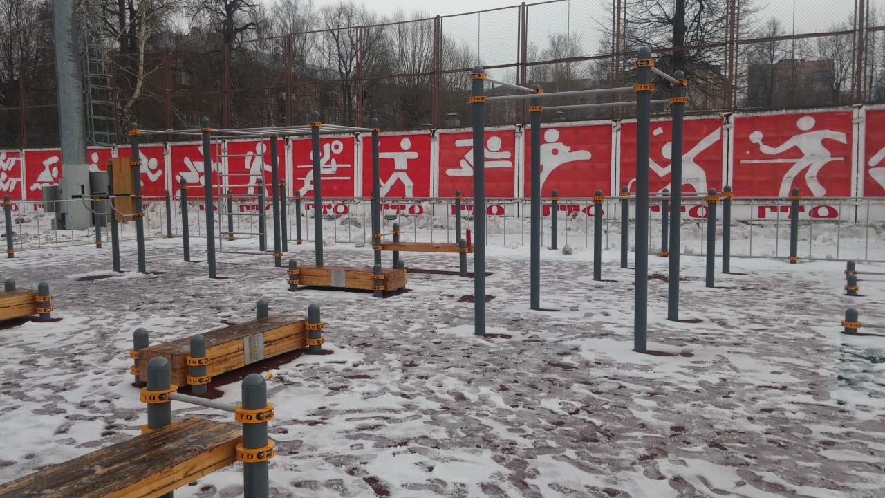Monkey Bars at Calisthenics Park at Спортивный комплекс «Родина», Химки – photo 8 of 8
