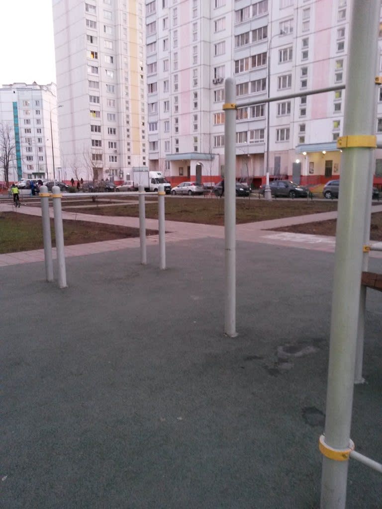 Wall Bars at Calisthenics Park at 1-я Северодонецкая улица, Москва – photo 2 of 4