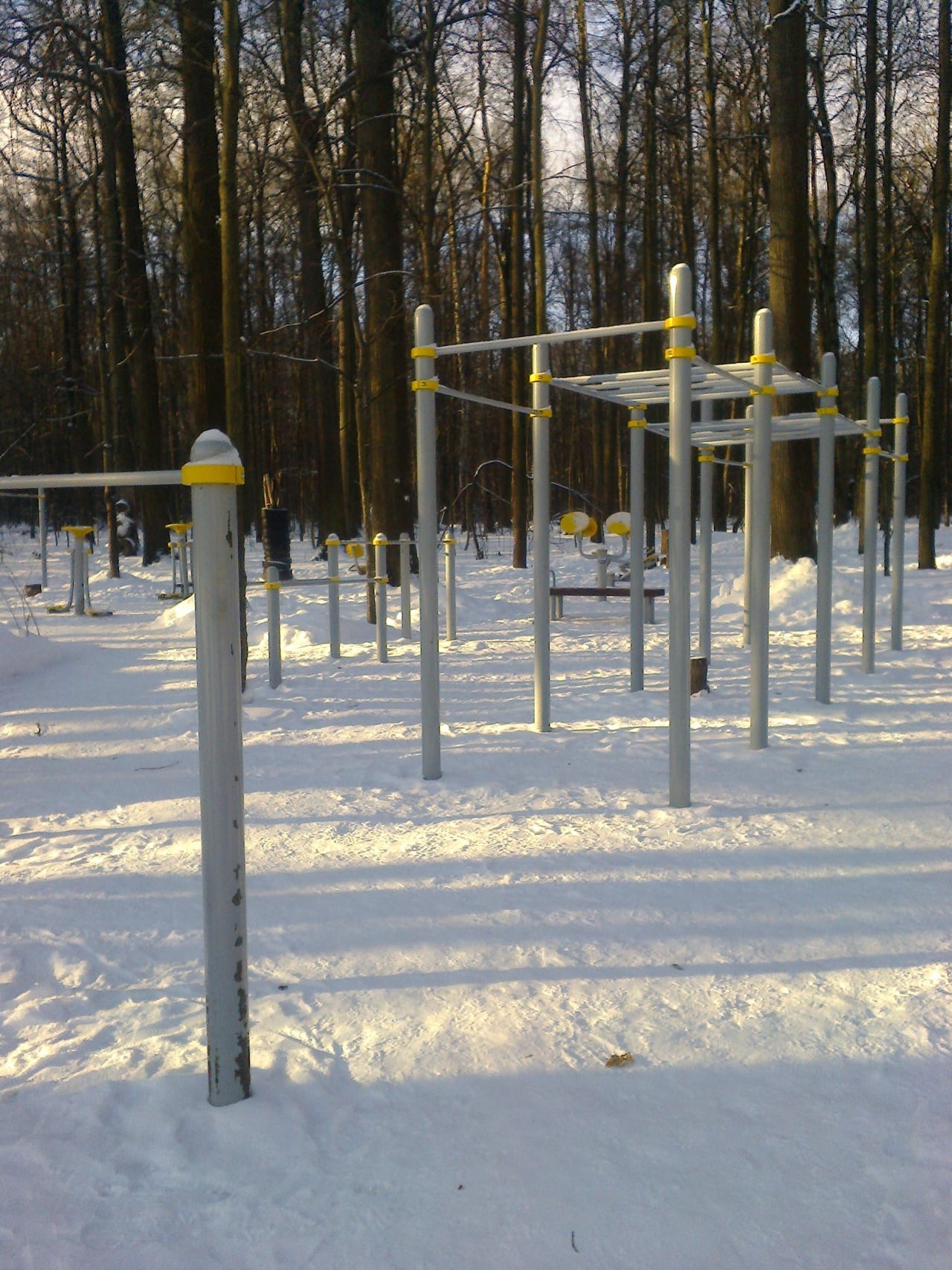 Monkey Bars at Calisthenics Park at Главная аллея, Москва – photo 3 of 3