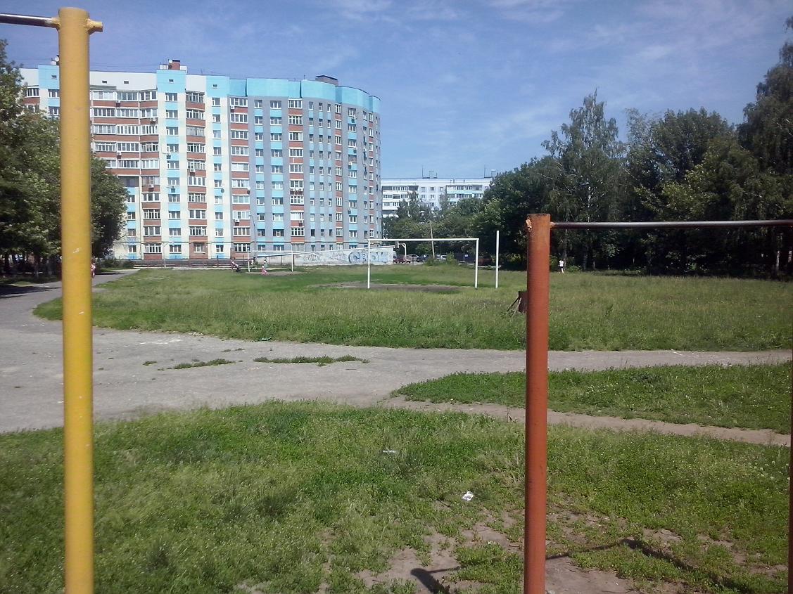 Sprossenwand bei Calisthenics Park at улица Гагарина, городской округ Рязань – Foto 12 von 16