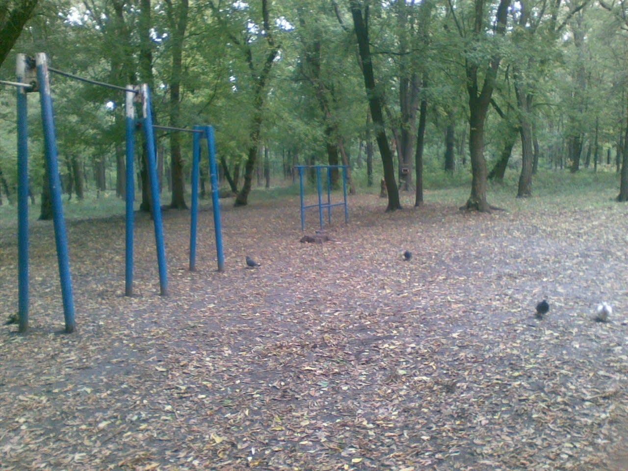 Parque de Calistenia #wp1816 - photo 4