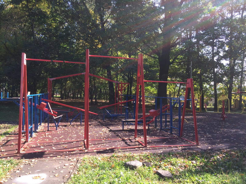Wall Bars at Calisthenics Park at Керамический проезд, Москва #wp1823 – photo 4 of 4