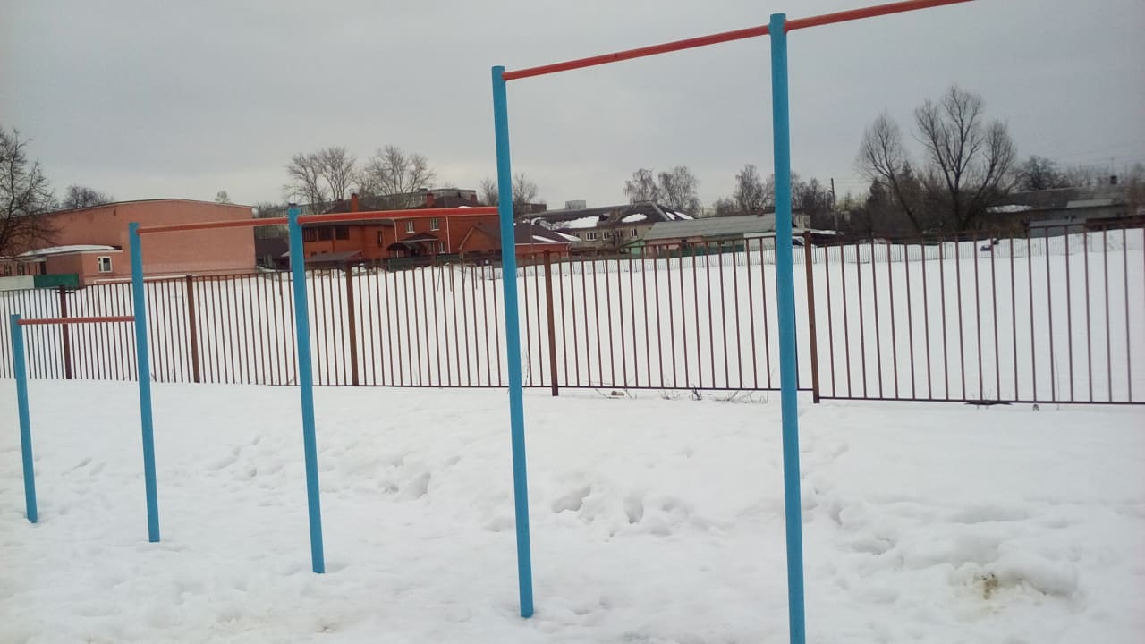 Klimmzugstange bei Calisthenics Park at Спортивная улица, Егорьевск – Foto 1 von 6