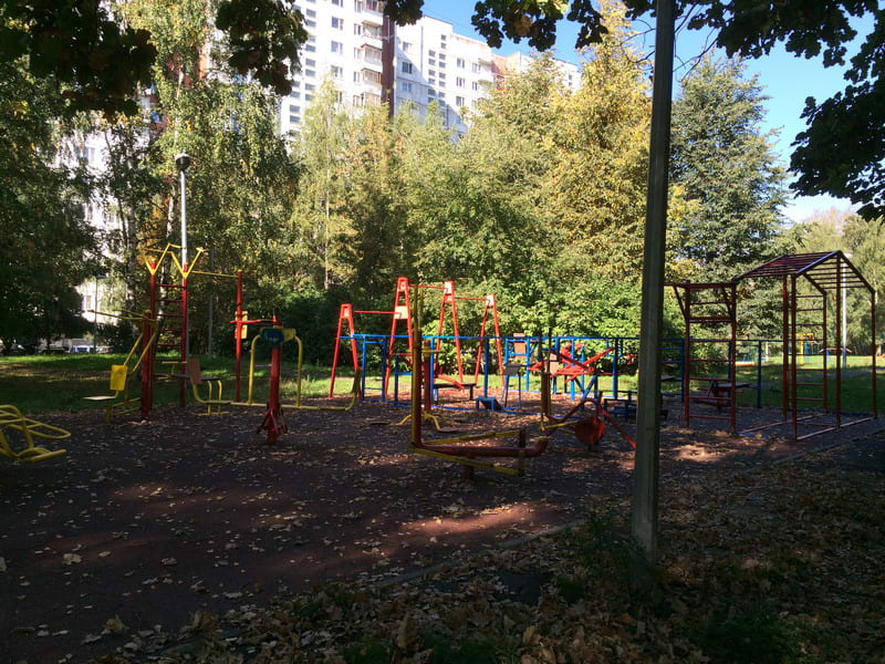Monkey Bars at Calisthenics Park at Керамический проезд, Москва #wp1823 – photo 3 of 4