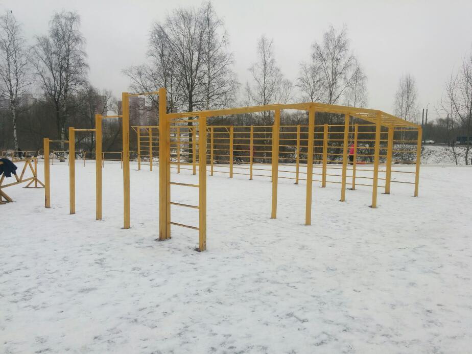 Monkey Bars at Calisthenics Park at Авангардная улица, Санкт-Петербург – photo 3 of 3