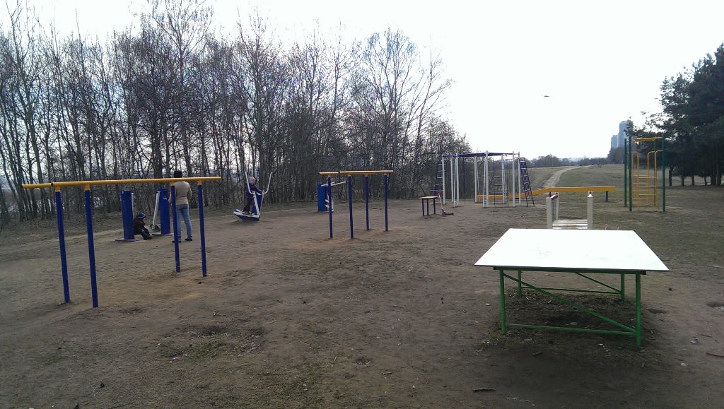 Cross Country Skier at Calisthenics Park at аллея Дорога Жизни, Москва – photo 6 of 7