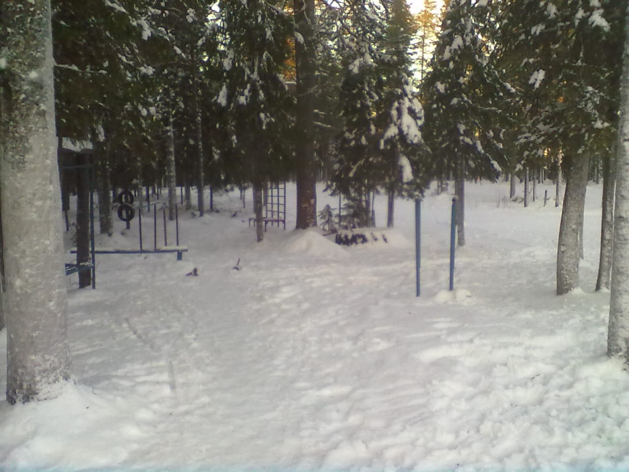Barren bei Calisthenics Park at Советская улица, Костомукша – Foto 2 von 2