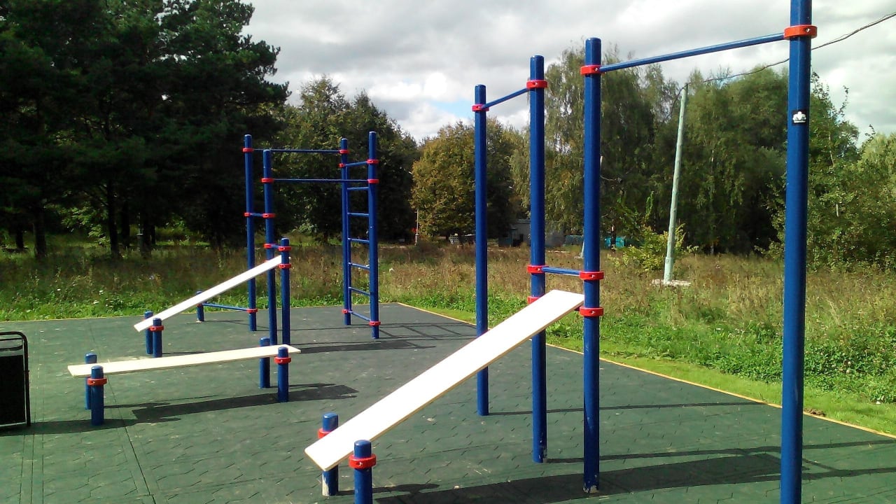 Monkey Bars at Calisthenics Park at аллея Дорога Жизни, Москва – photo 3 of 7